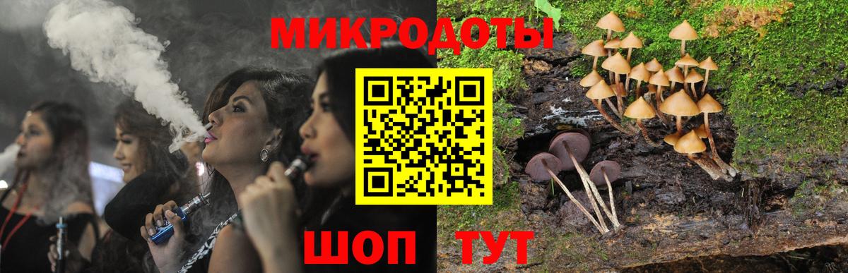 Псилоцибиновые грибы Psilocybe Кашира