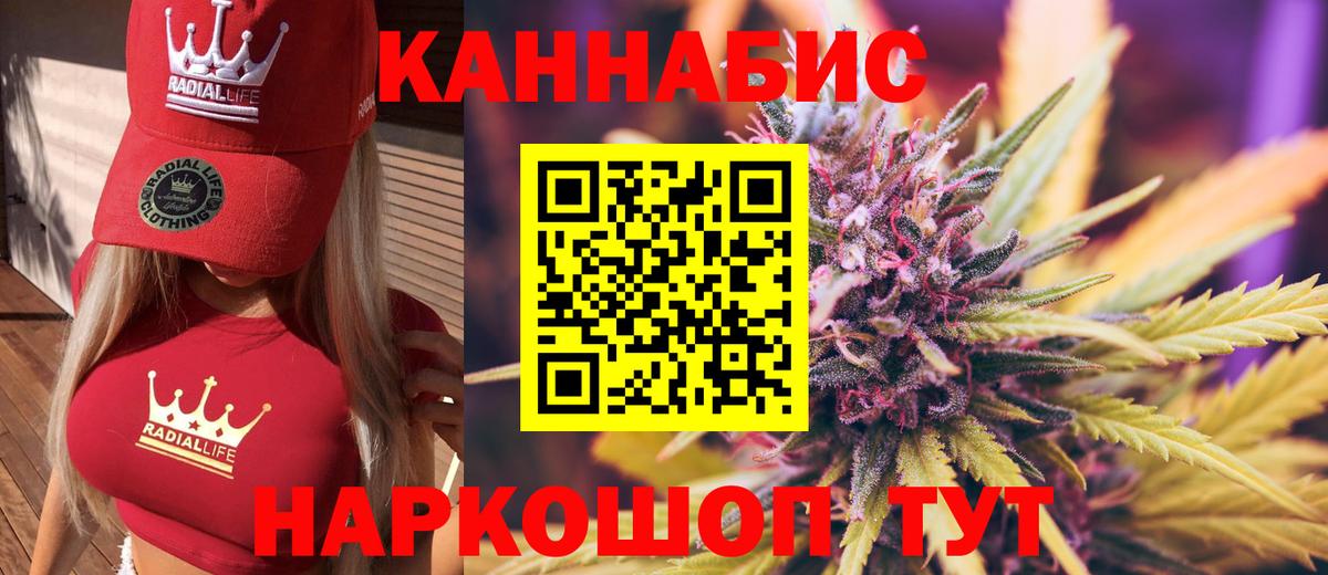 Бошки Шишки план Кашира